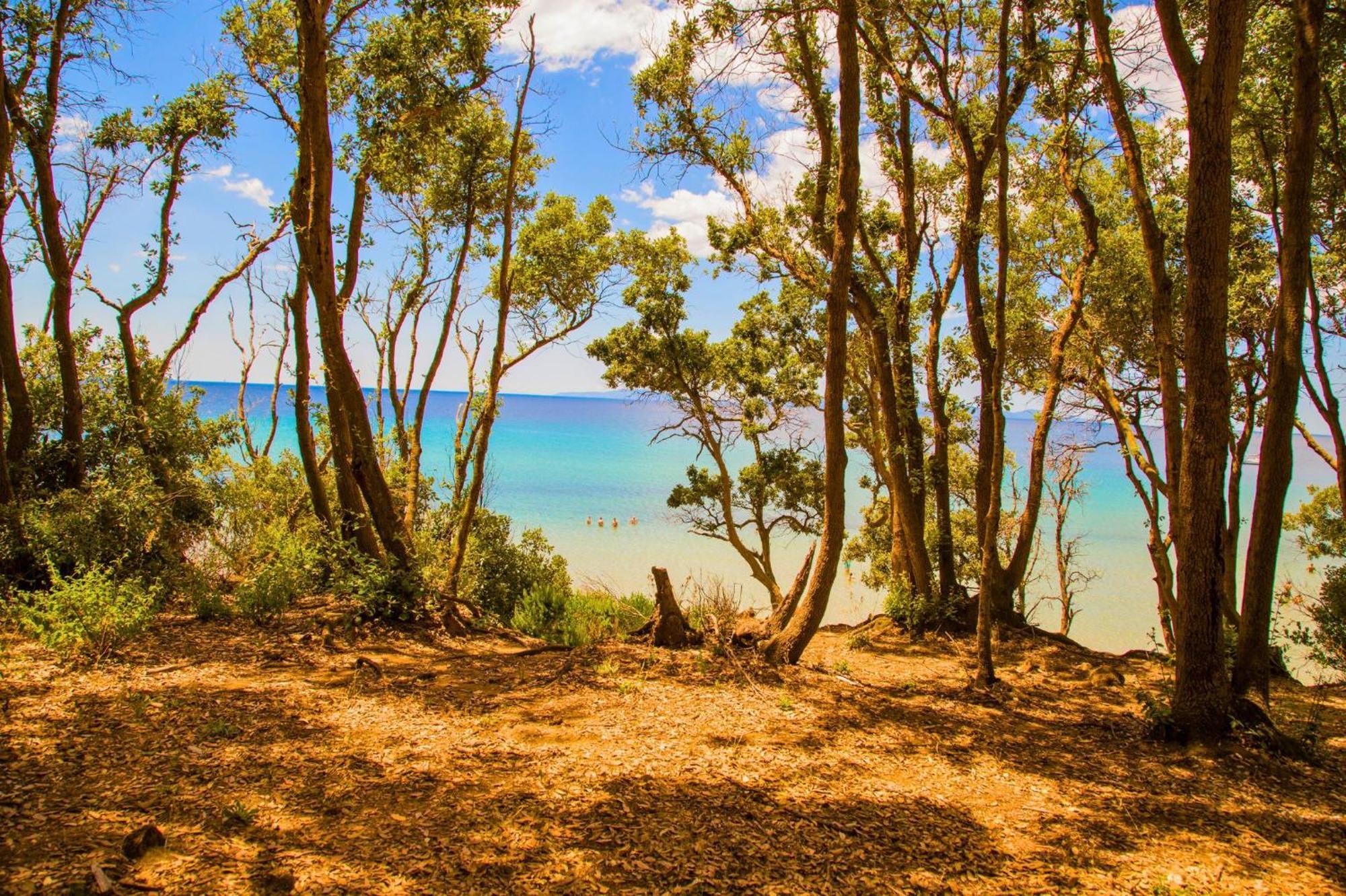 Oasimaremma Village Scarlino Kültér fotó