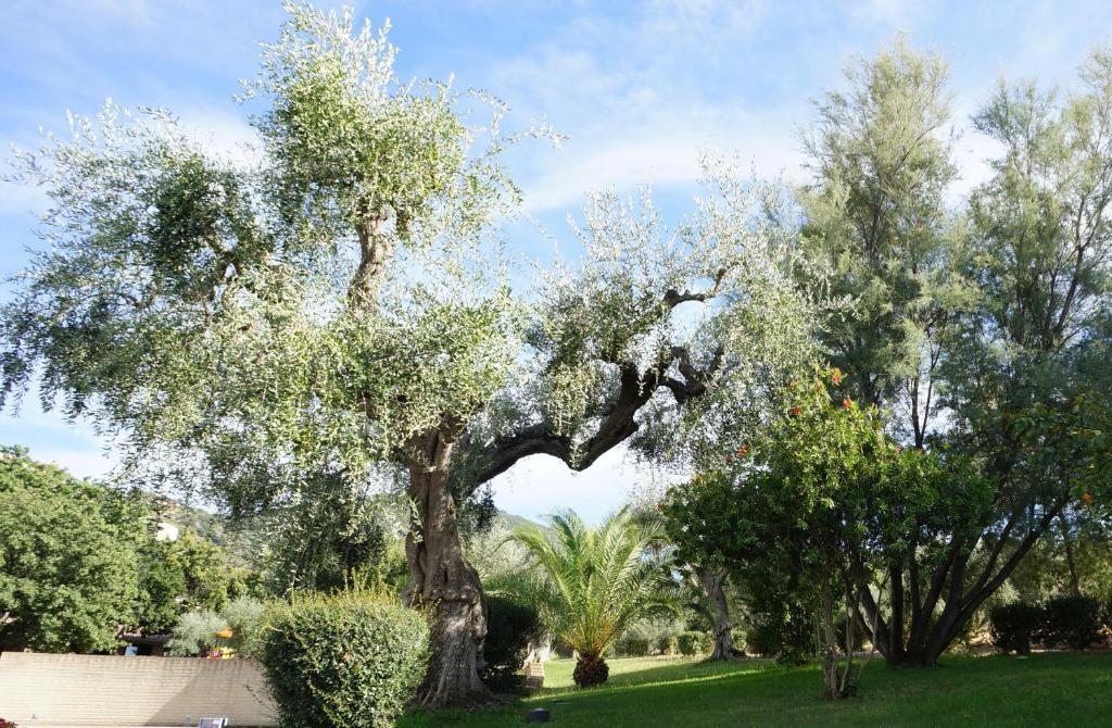 Oasimaremma Village Scarlino Kültér fotó